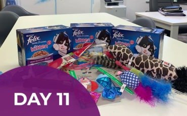 Advent Calendar Day 11: Cats Protection Donation