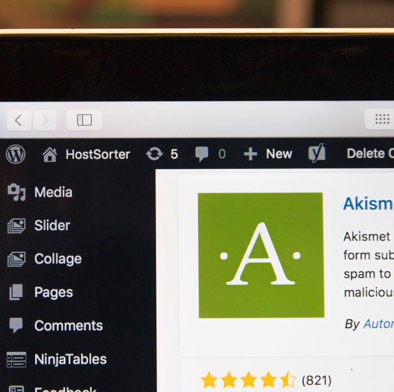 How to update WordPress plugins